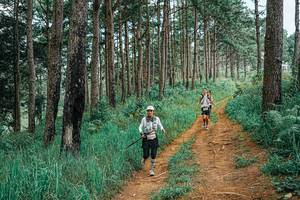 BIB: 
                            <button type="button" onclick="openModal(25661901)" class="btn btn-primary btn-sm float-right btn-popup" data-toggle="modal" data-target=".modal-high-quality">
                        <i class="fas fa-shopping-cart"></i> Add to Cart
                    </button>
                                            <button type="button" onclick="isThisMe(25661901, true)" class="btn btn-success btn-sm float-right btn-popup btn-isme hidden" data-toggle="tooltip" data-placement="bottom" title="นี่คือรูปของคุณใช่ไหม คลิกที่นี่เพื่อเอาเข้าอัลบั้ม">
                        <i class="fas fa-plus"></i> Add to album
                    </button>
                    <button type="button" onclick="isThisMe(25661901, false)" class="btn btn-warning btn-sm float-right btn-popup btn-isnotme hidden">
                        <i class="fas fa-ban"></i> Remove from album
                    </button>